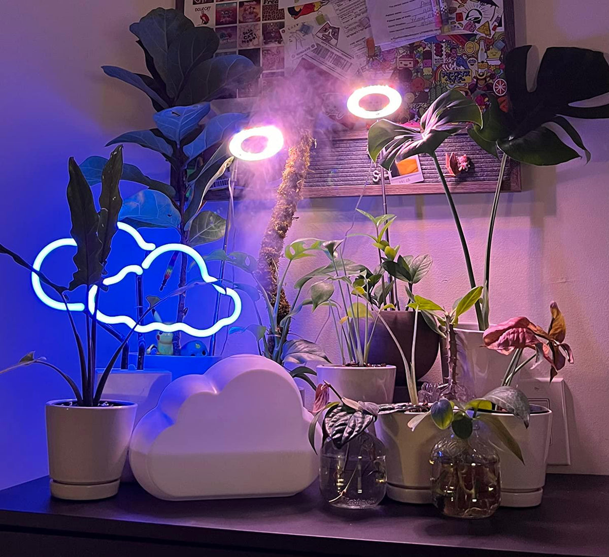 What is plant grow light?Do led lights help plants grow? Yadoker